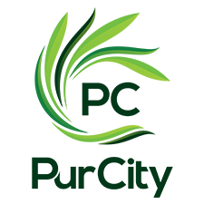 PurCity